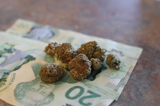 marijuana and canadian twenty dollar bills. Concept of marijuana and economy.