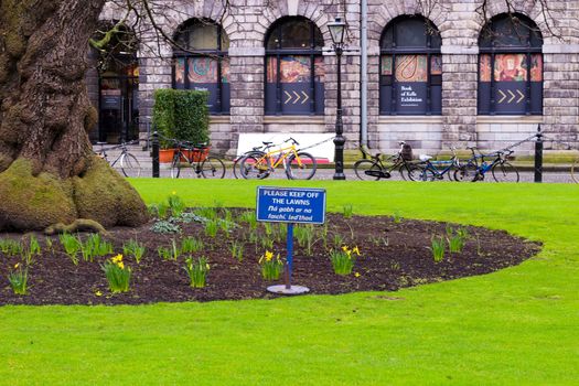 Garden in the courtyard of Trinity university college dublin.