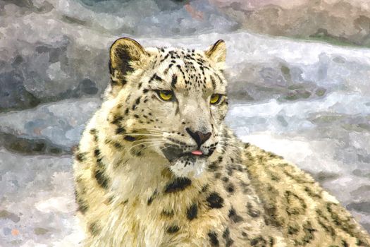 endangered snow leopard digital artwork. Beautiful animal