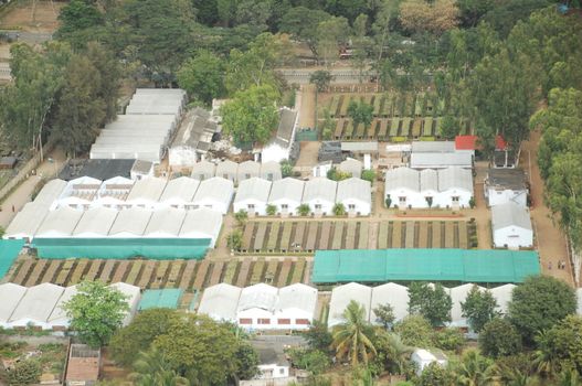 Aerial view of a buildings