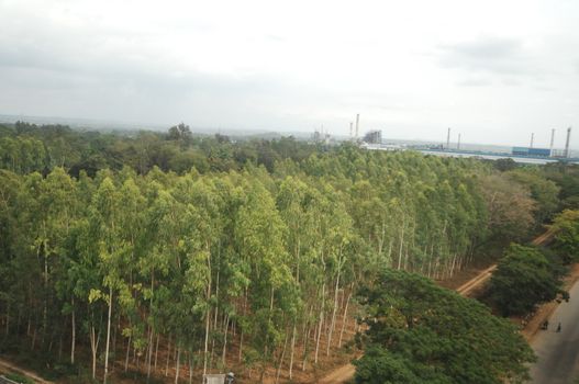 Aerial view of a buildings