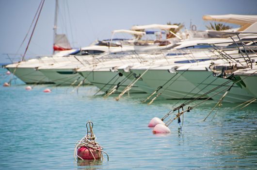 Private motor yachts moored in a tropical marina with a mooring buoy in the foreground