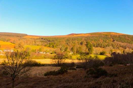 the Wicklow Mountains landscape in the winter season