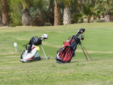 Two golf bags with clubs standing on a course fairway