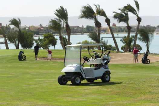 Electric golf buggy on the fairway with golfers in the distance