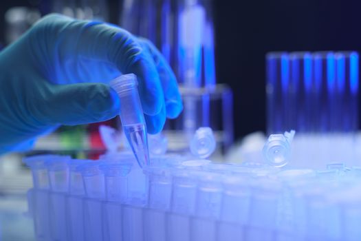 Hand holding one of several test tubes on a laboratory.