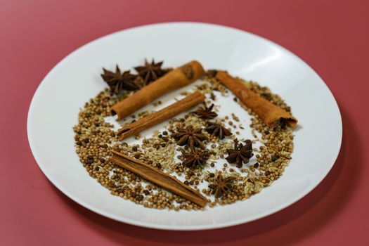 Chinese five spices stew on white plate with red background.