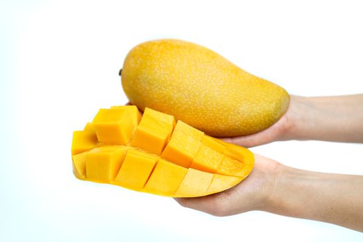 Hand with Yellow mango and mango slice on cubes isolated white isolated background , Hands