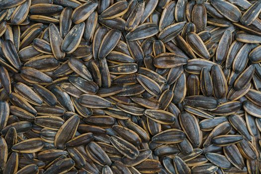 Black sunflower seeds. For texture or background. top view