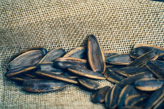 Sunflower seed on a sack background.