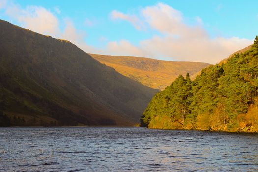 Guinness Lake, Wicklow Mountains, Ireland, Nature, Flowers, Sunny Day, Blue Sky, Sun.