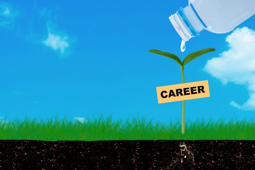Road to career growth concept, path, human resource management