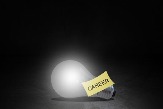 Career path concept, human resource management,  job promotion, idea to success