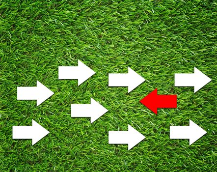 Business change concept, white and red arrow on green grass background, nature and ecology