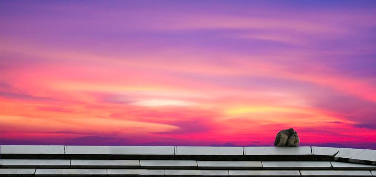 two bird kiss on roof and panorama colorful sky and cloud on sunset in the evening