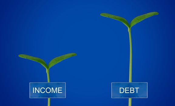 Debt and income, financial crisis concept, young plant on blue background
