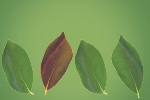 Think different concept, business solution on green background