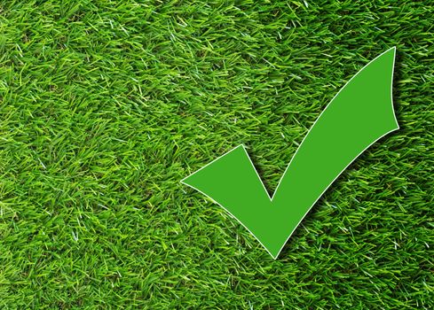 Green check mark on grass background, correction concept