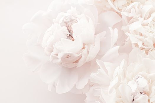 Pastel peony flowers in bloom as floral art background, wedding decor and luxury branding design