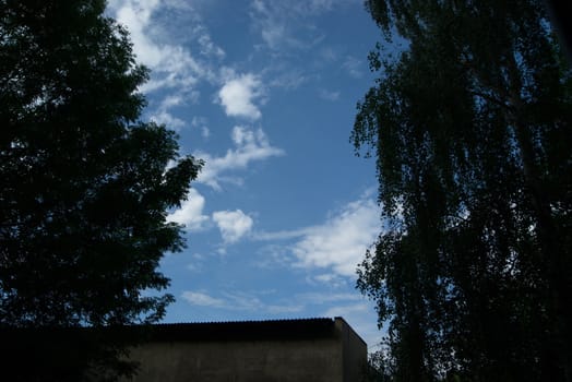 Cloudy sky, tree crowns and building roof