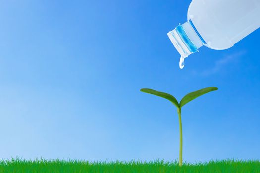 Business growth concept, young plant and water on blue sky background, financial increase market profit, nature and ecology