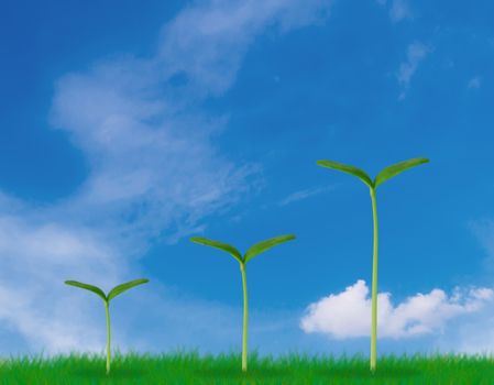 Business growth concept, young plant on blue sky background, financial increase market profit, nature and ecology