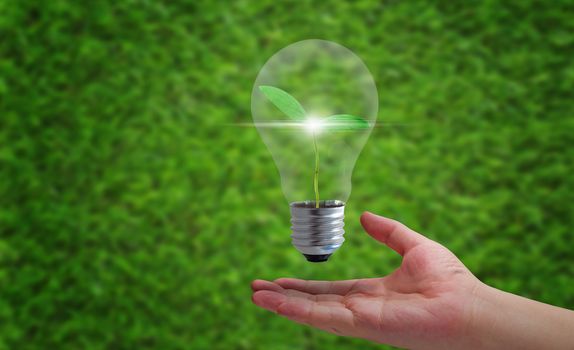 Business growth concept, light bulb and hand on green background, financial increase market profit, nature and ecology