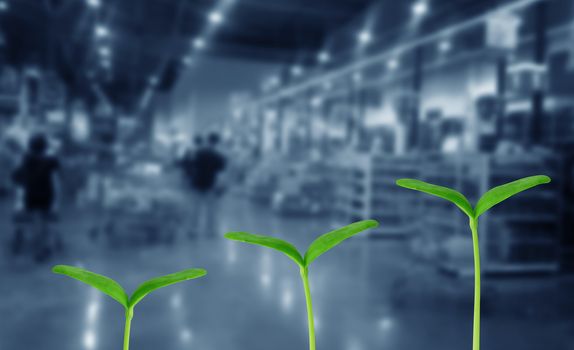 Business or idea growth concept, young plant on blur background, financial increase market profit