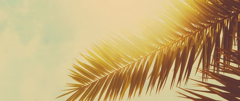 Tropical palm tree leaves in hot summer day as vintage background, nature and travel concept