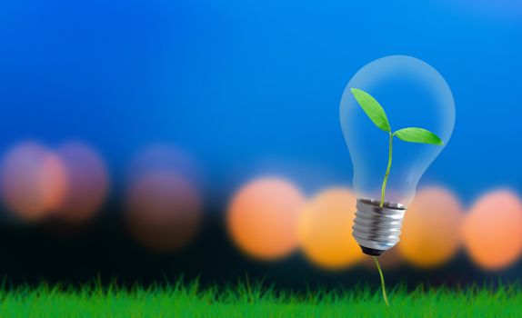 Business or idea growth concept, light bulb on blur background, financial increase market profit, nature and ecology