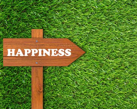 Happiness concept, wooden sign on green grass background