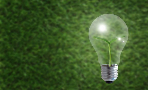 Business growth concept, light bulb on green background, financial increase market profit, nature and ecology