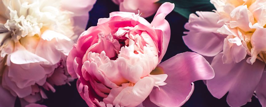 Pink peony flowers as floral art background, botanical flatlay and luxury branding design