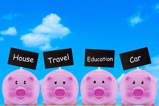 Financial, saving money concept, pink piggy bank on blue sky background