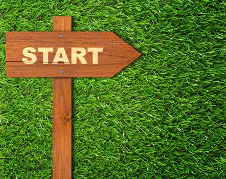 Business start concept, strategy and planning, road to success, wood sign on green grass background
