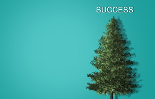 Business success concept on top of the tree with blue background
