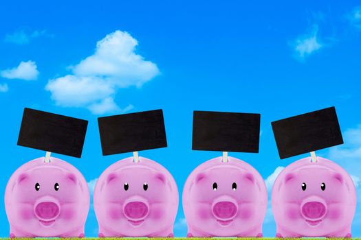 Financial, saving money concept, pink piggy bank on blue sky background with copy space