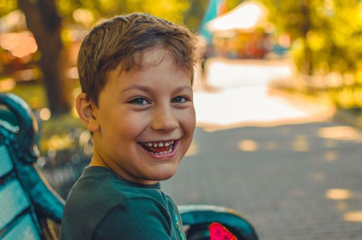 portrait of a cheerful boy in the park