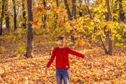 a young boy in red clothes laughs, standing among the autumn trees, and yellow leaves fall on top of him