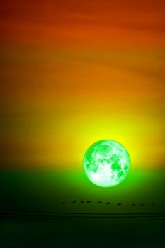 super egg moon back on silhouette plant and trees on night sky, Elements of this image furnished by NASA