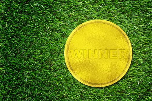 Business success concept, competition winner, gold medal on green grass background