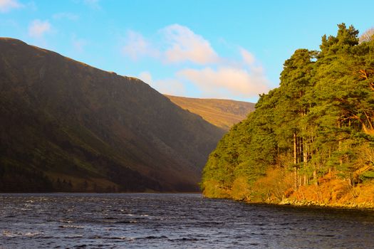 Guinness Lake, Wicklow Mountains, Ireland, Nature, Flowers, Sunny Day, Blue Sky, Sun.