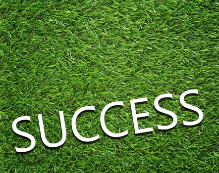 Business success concept on green grass background