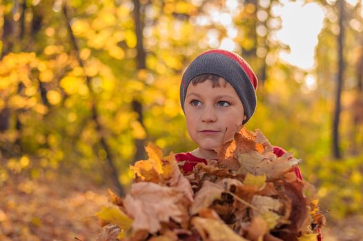 beautiful child in a winter hat stands with yellow fallen leaves in the autumn park
