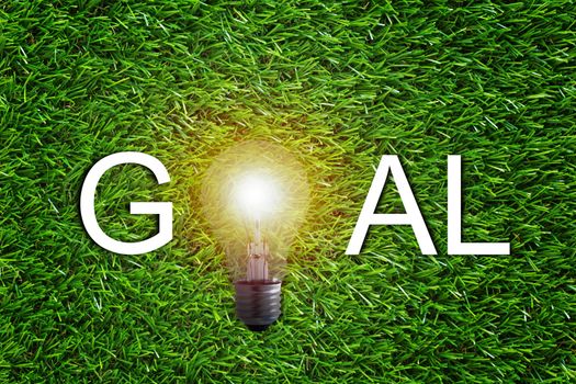 Business target and goal concept, marketing strategy and planning, light bulb on green grass background 