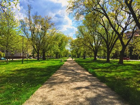 Sunny alley in the city park in spring, nature and outdoor landscape scenery