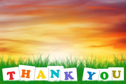 Word thank you concept on green grass and sky background