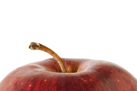 Close up red Apple fruit isolated on white background