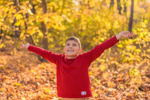 cheerful schoolboy smiles, spread his arms to the sides and looks at the autumn sky in the park