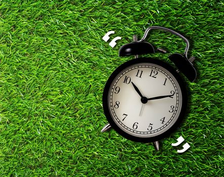 Time management concept, business planning, alarm clock on green grass background